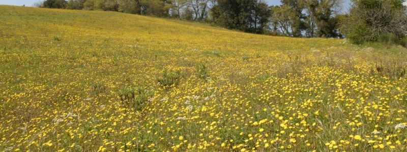 Family BioBlitz Adventure