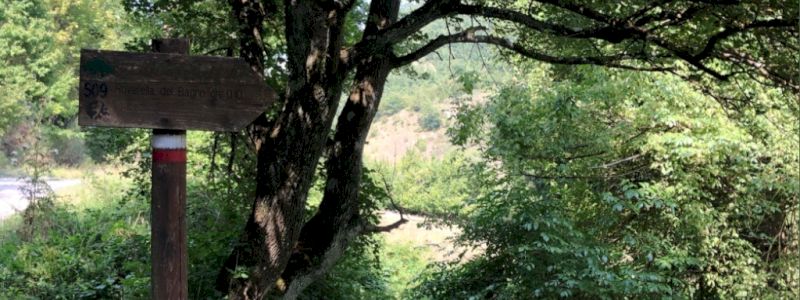 Trekking nella natura con pranzo