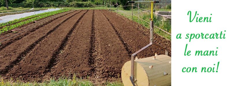 Braccia rubate all'agricoltura