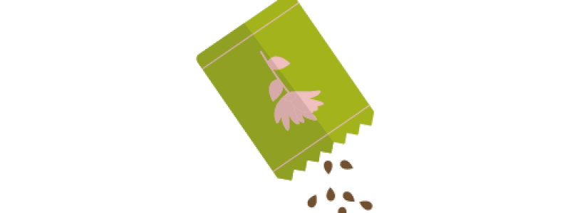 Cartolina di ringraziamento seminabile