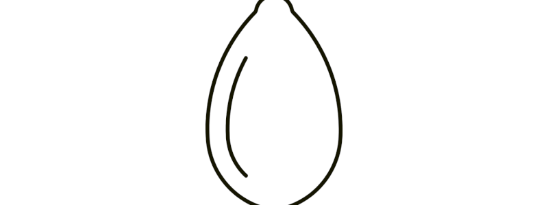 Un Seme Digitale