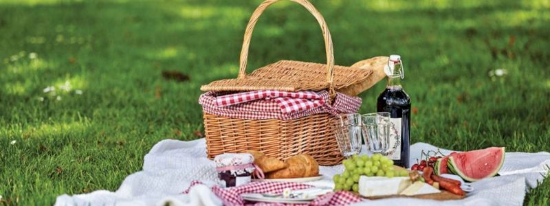Un picnic in campagna con degustazione di prodotti km 0
