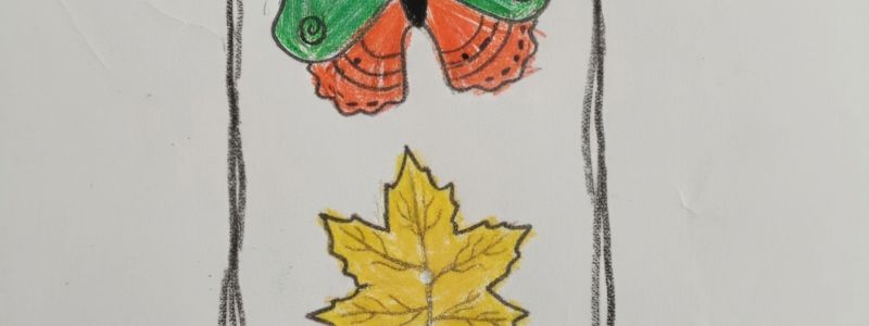 SEGNALIBRO COLORATO