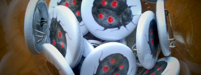 Il tuo nome nei titoli di coda + spillina
