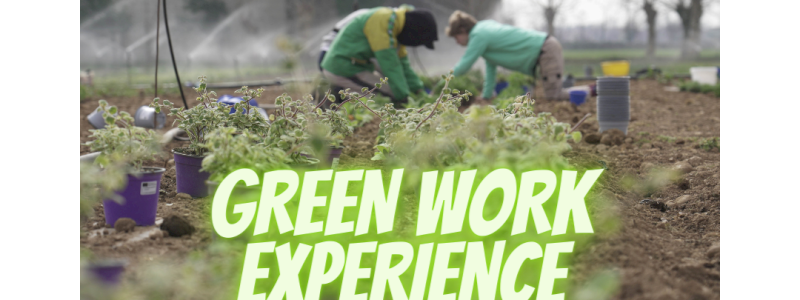 GREEN WORK: UNA GIORNATA SUI CAMPI