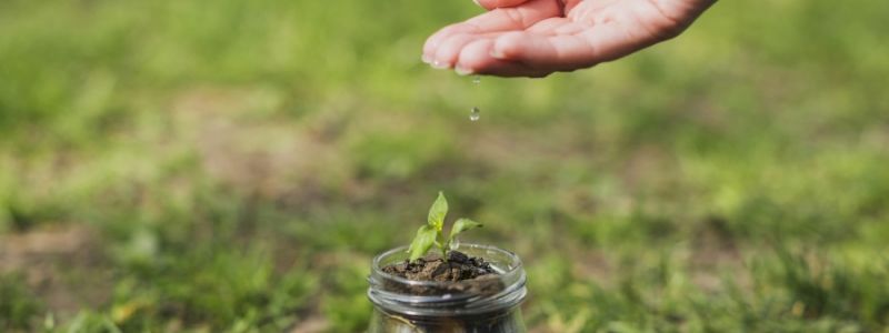 Ogni donazione è un seme per il futuro
