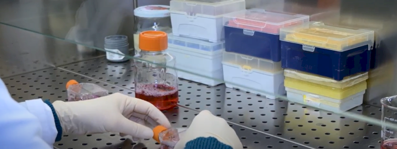 Dentro ai laboratori