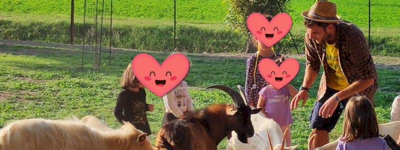 Visita didattica alla nostra fattoria per 2 persone! Asini, galline, api, conigli, capre.....