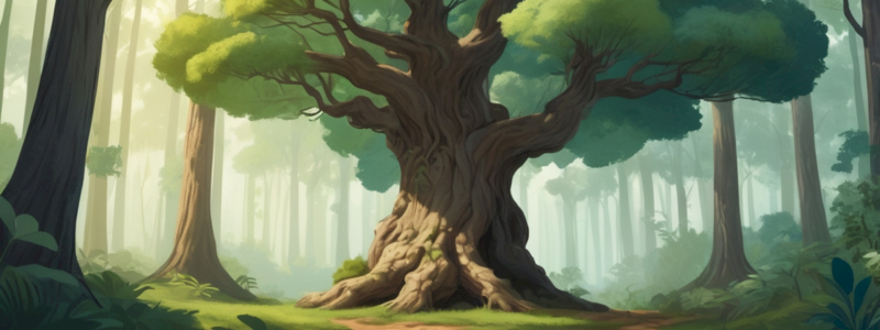 Albero della Vita