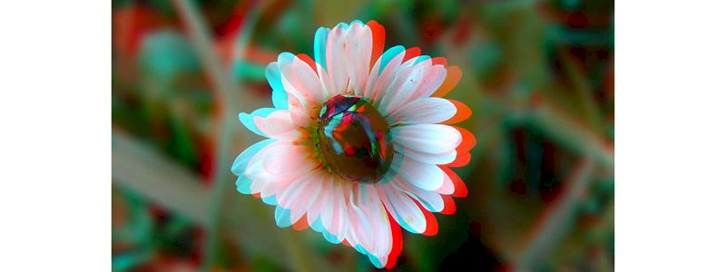 Due cartoline in 3D con quattro occhialini 3d