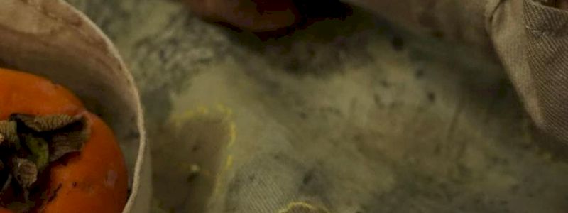 PER TE UN FOULARD “ECOPRINTATO” IN FIBRA D’ORTICA!