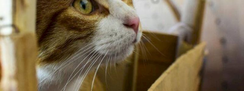 Quanto puoi, ma fatto con il cuore!