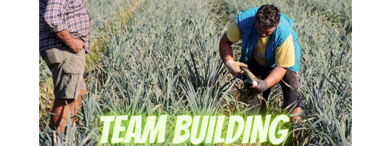 TEAM BUILDING EXPERCIENCE