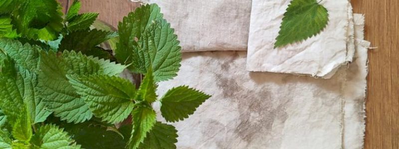 PER TE IL “KIT di ECO-PRINTING: NASCE, CRESCE, PRINTA!”