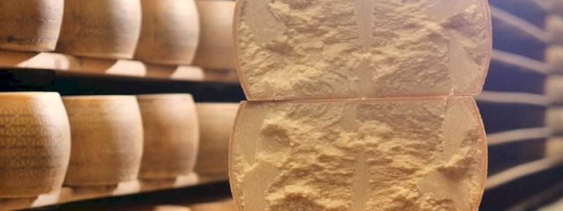 Una punta di Parmigiano Reggiano da 1 Kg (24 mesi di stagionatura)