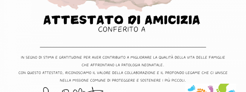 Amico di TINsieme