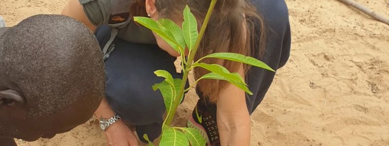 Radici nel Futuro: Adotta una Pianta nel Cayor