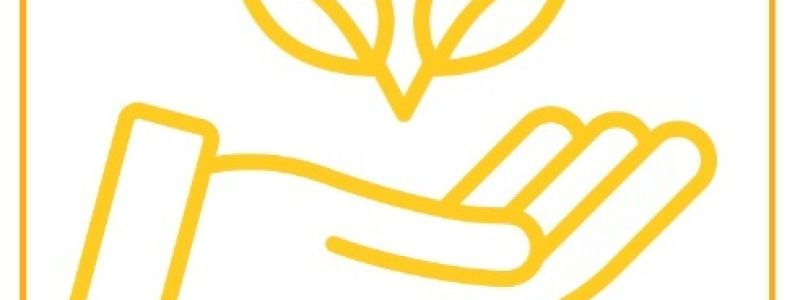 Albo d\'Oro