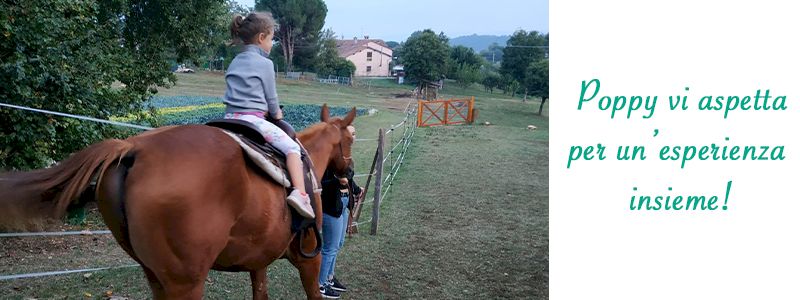 Amico de La Commenda