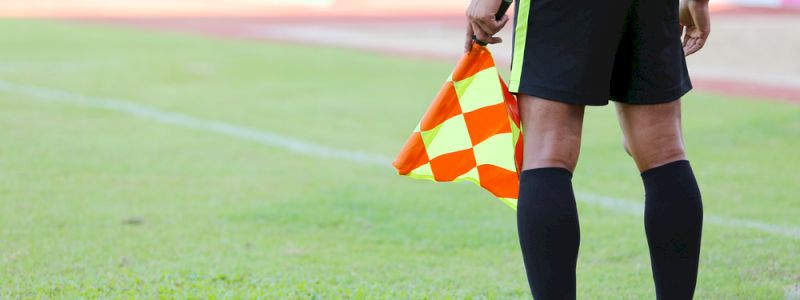 Guardalinee per un giorno