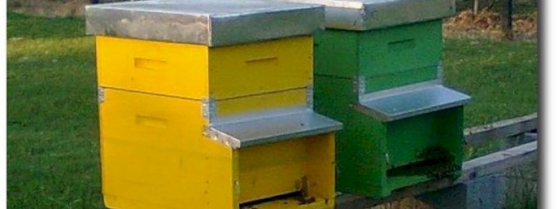 Complimenti ci hai permesso di acquistare una nuova arnia
