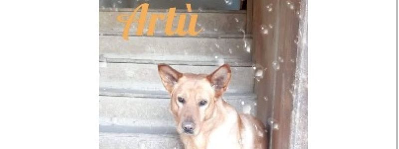 ADOZIONE A DISTANZA PER 1 ANNO