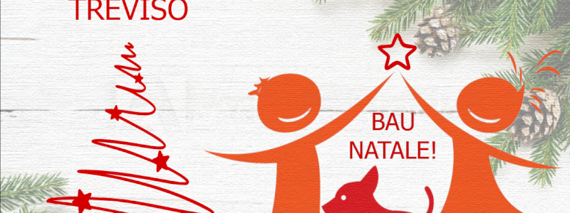INVITO ALL'EVENTO NATALIZIO di Onlus Carolina ODV presso la Loggia dei 300 a Treviso