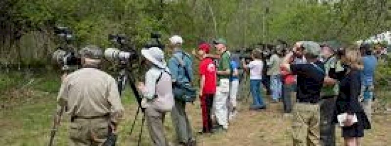 Lezione di birdwatching