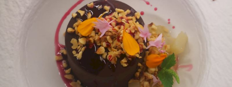 UNA TIPS PER TE: SCEGLI SE UNA RICETTA O UN SUGGERIMENTO PER IL TUO AMICO A 4 ZAMPE