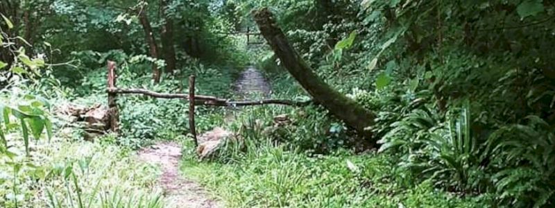 Visita guidata all'Oasi