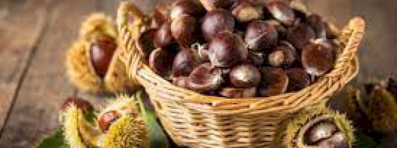 Kg di castagne