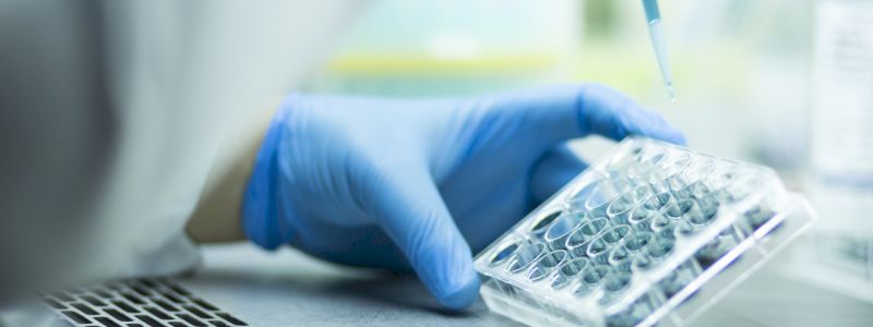 Visita il laboratorio per una persona