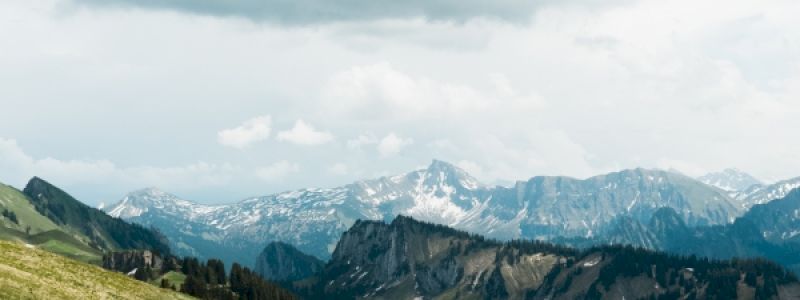 Escursione Naturalistica o Urbana