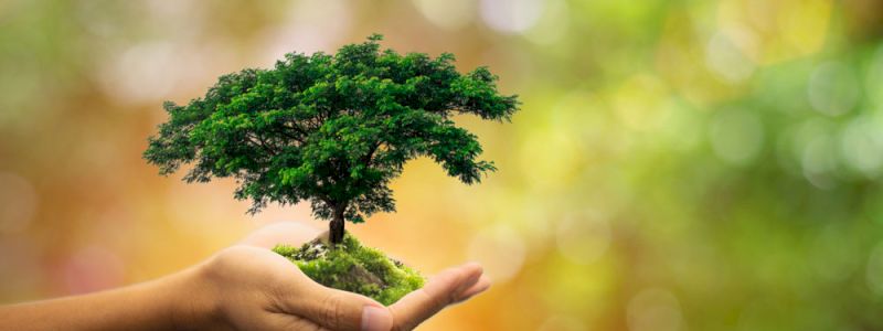 Un Comune più verde