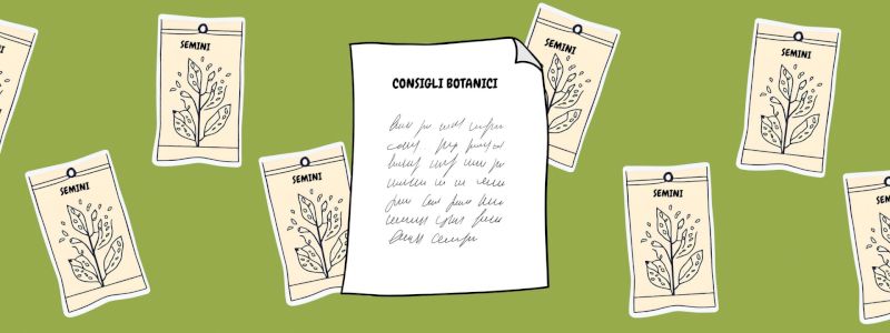 Bustina con semi e consigli botanici