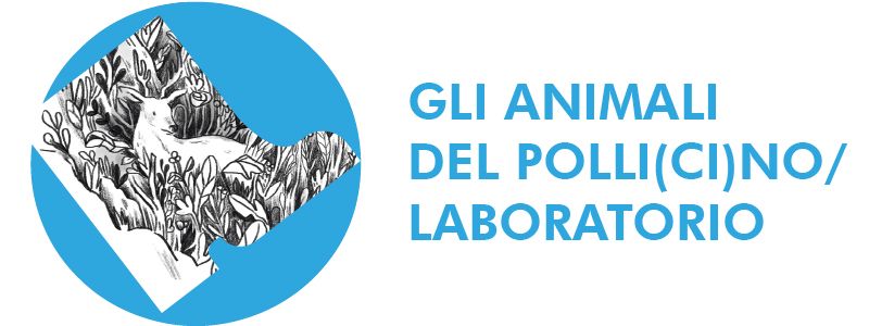 GLI ANIMALI DEL POLLI(CI)NO