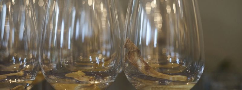 Aperitivo ad una mostra