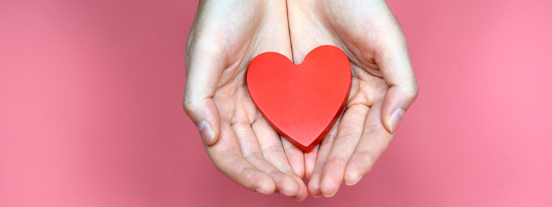 Fai Tu (donazione libera)