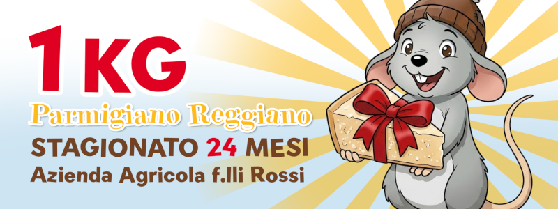 Parmigiano Reggiano 24 mesi