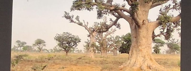 Finestra sul Senegal: Quadro Fotografico d\'Autore