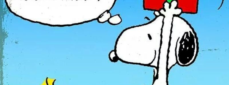 COME PIU\' TI PIACE
