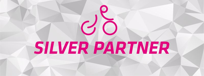 SILVER PARTNER