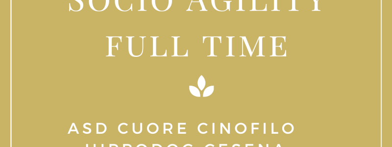 Socio AGILITY  FULL TIME