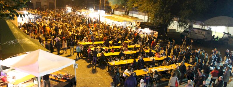 Pranzo all'insegna della bolognesità, nel cuore delle nostre sagre parrocchiali del 2023