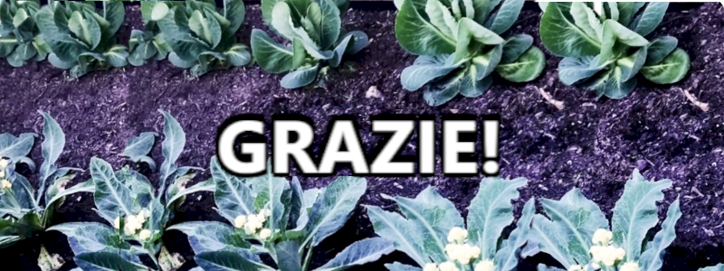 COLTIVIAMO UN SOGNO INSIEME