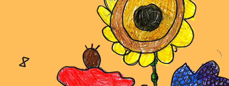 CARTOLINA D\'AUTORE