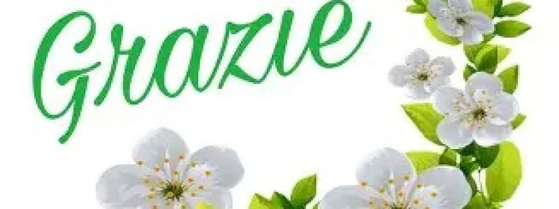 Offerta libera