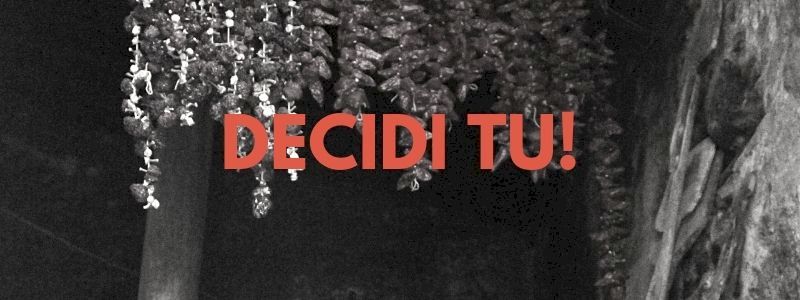 DONATORE A CAPPELLO: fai la tua libera offerta, noi comporremo la ricompensa adatta a te!