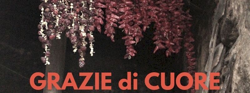 MEMBRO DEL CORO: un “grazie speciale” e un messaggio video tutto per te