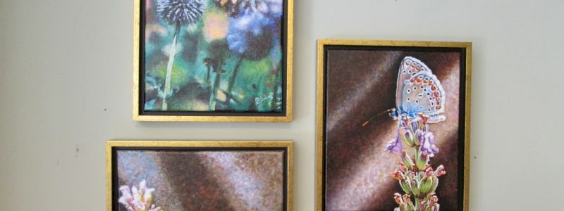 IL QUADRO delle PITTURANDOS